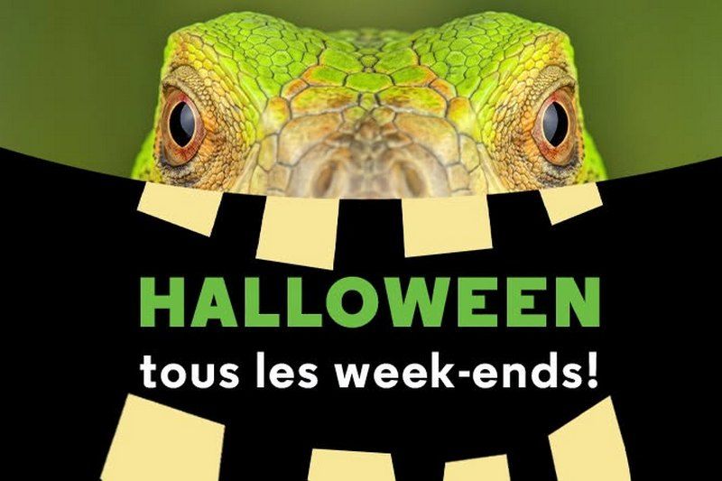 Quoi faire ce weekend en Estrie ?